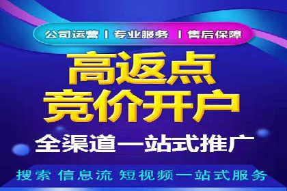 SEM运营公司案例研究：优化广告投放策略